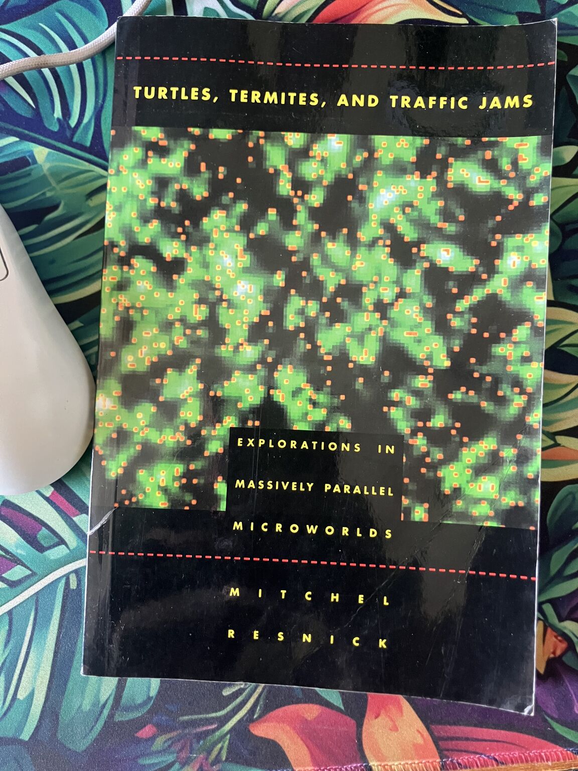 Turtles, Termites and Traffic Jams